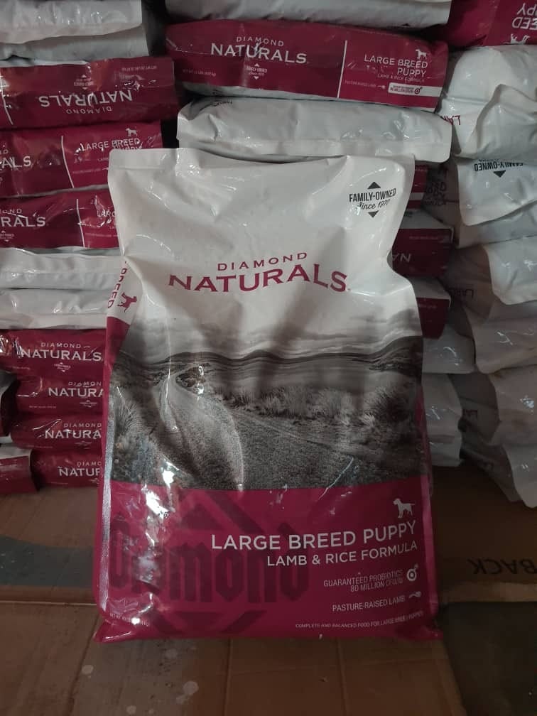 Diamond Naturals Large Breed Puppy Food - Precision-balanced for steady growth and bone health